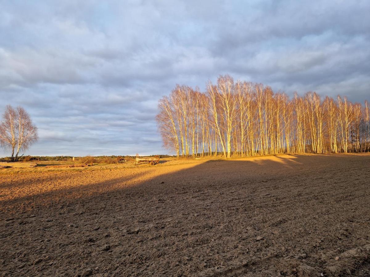 Domek Adam - Kozy Kościerzyna Exteriör bild