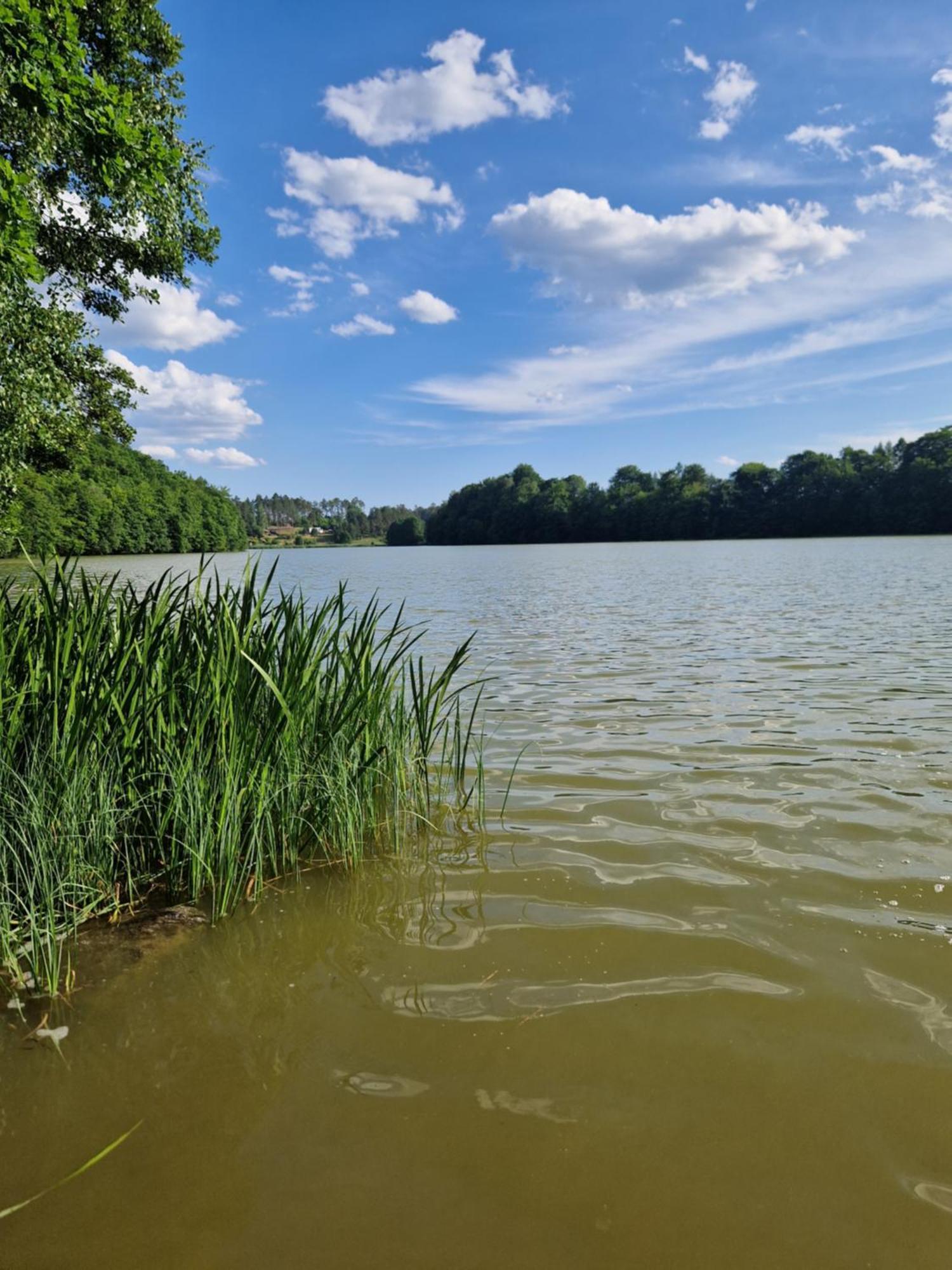 Domek Adam - Kozy Kościerzyna Exteriör bild